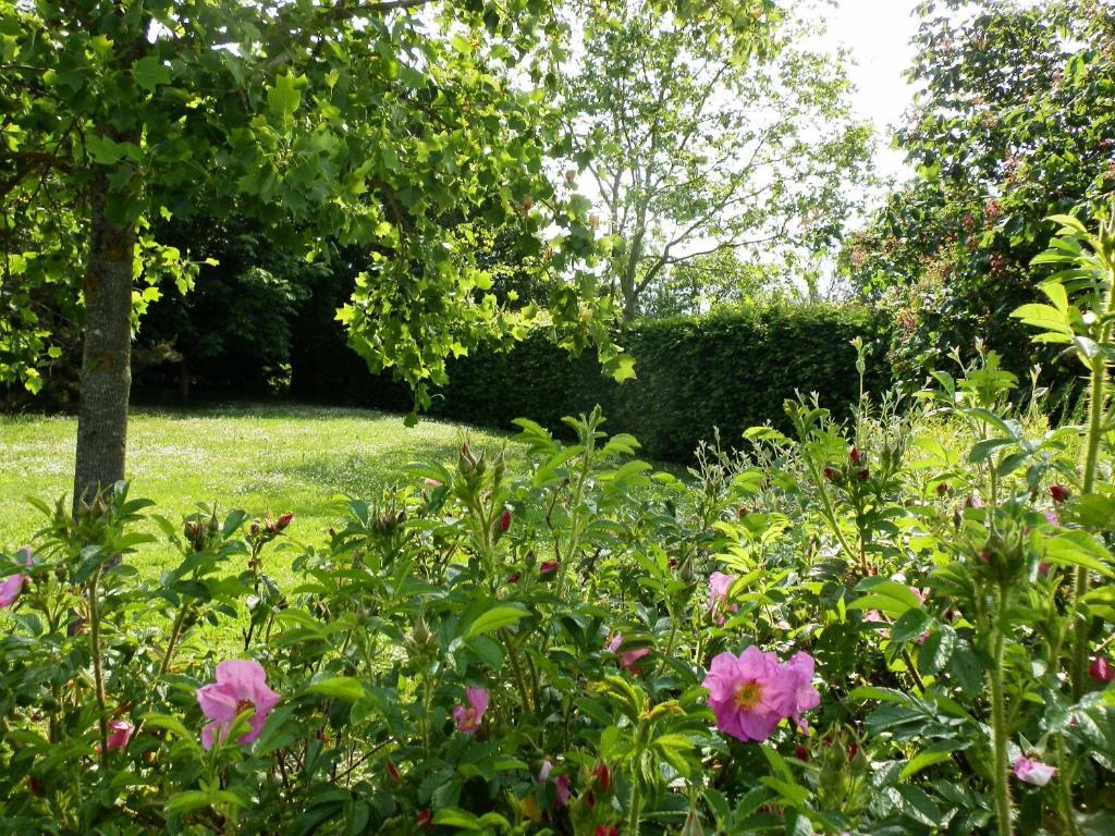 La Roulotte Du Domaine De Meigné Quarto foto